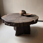 Live Edge Pedestal Coffee Table with Sculptural Root Base and Natural Wood Grain Main Product Image
