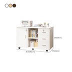 Lockable Wood Filing Cabinet With Shelves, Drawers and Casters Dimensions