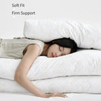 Low-Profile Textured Modular Sofa with Plush Curves for Lounge Living