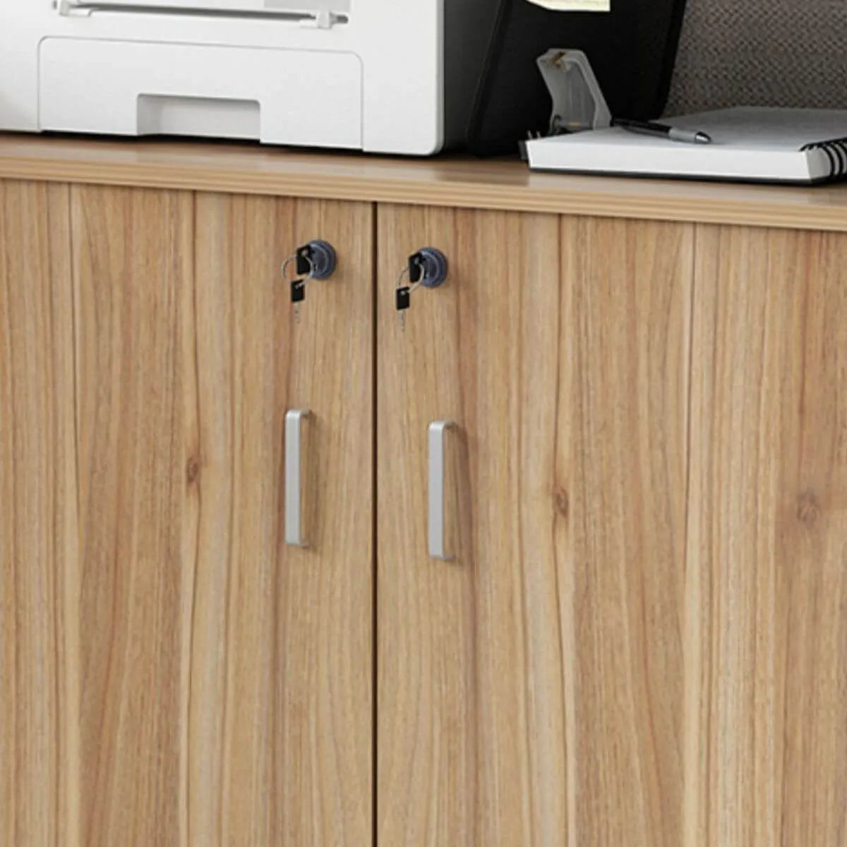 Minimalist Locking Storage Cabinet With Casters for Home Office