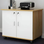 Minimalist Locking Storage Cabinet With Casters for Home Office