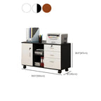 Minimalist Locking Storage Cabinet With Casters for Home Office Dimensions