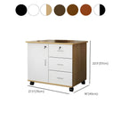 Minimalist Locking Storage Cabinet With Casters for Home Office Dimensions