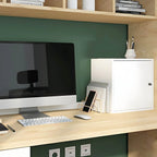 Minimalist Locking Wood File Cabinet With Concealed Door Storage
