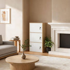 Minimalist Locking Wood Storage Cabinet Series With Shelves