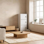 Minimalist Locking Wood Storage Cabinet Series With Shelves