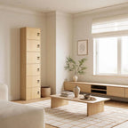 Minimalist Locking Wood Storage Cabinet Series With Shelves