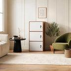 Minimalist Locking Wood Storage Cabinet Series With Shelves