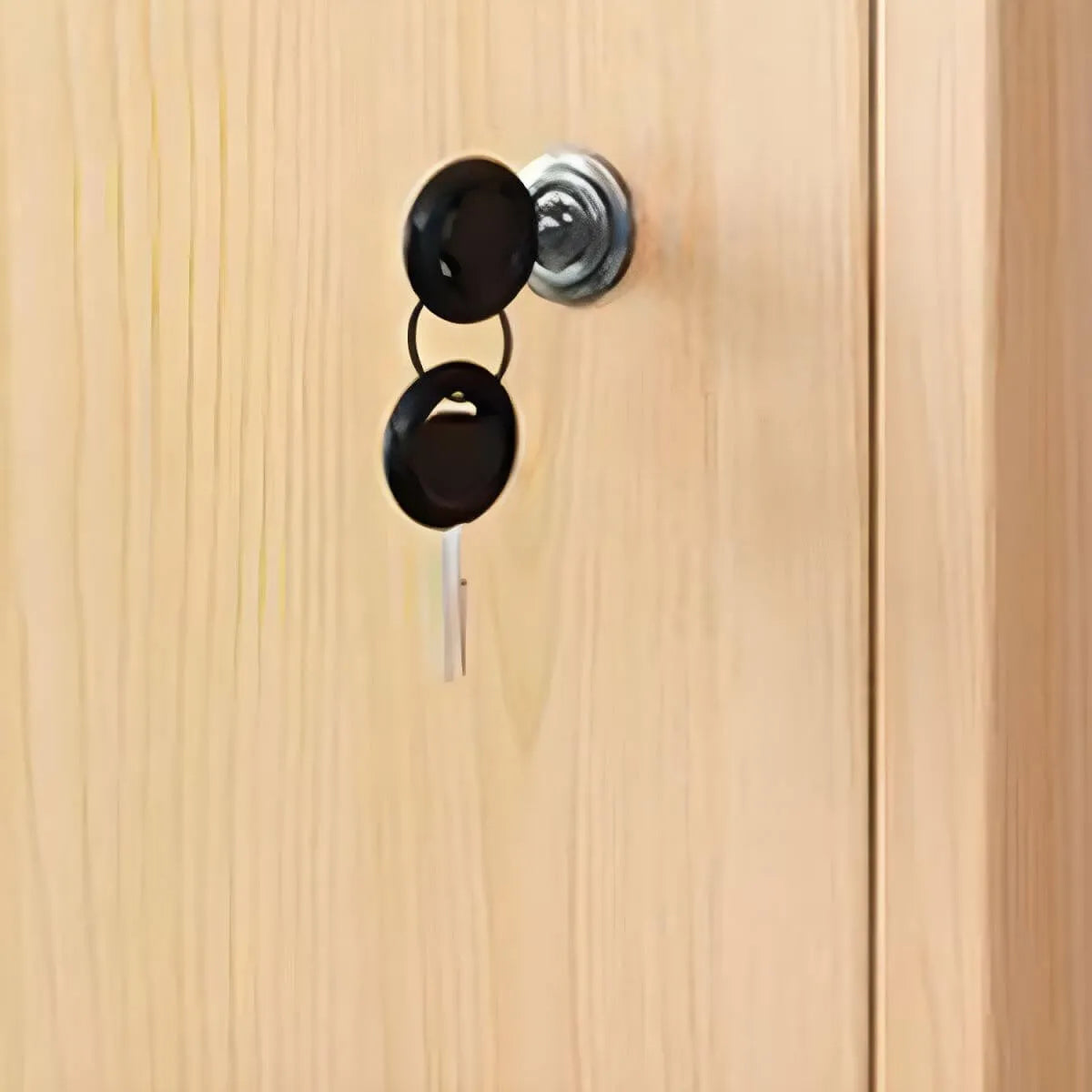 Minimalist Locking Wood Storage Cabinet Series With Shelves