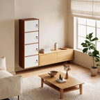 Minimalist Locking Wood Storage Cabinet Series With Shelves
