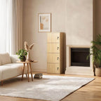 Minimalist Locking Wood Storage Cabinet Series With Shelves