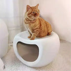 Minimalist Stackable Cat House Stool in Matte PP for Shared Spaces Main Product Image