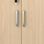 Minimalist Wood Lateral Filing Cabinet With Lockable Shelved Storage
