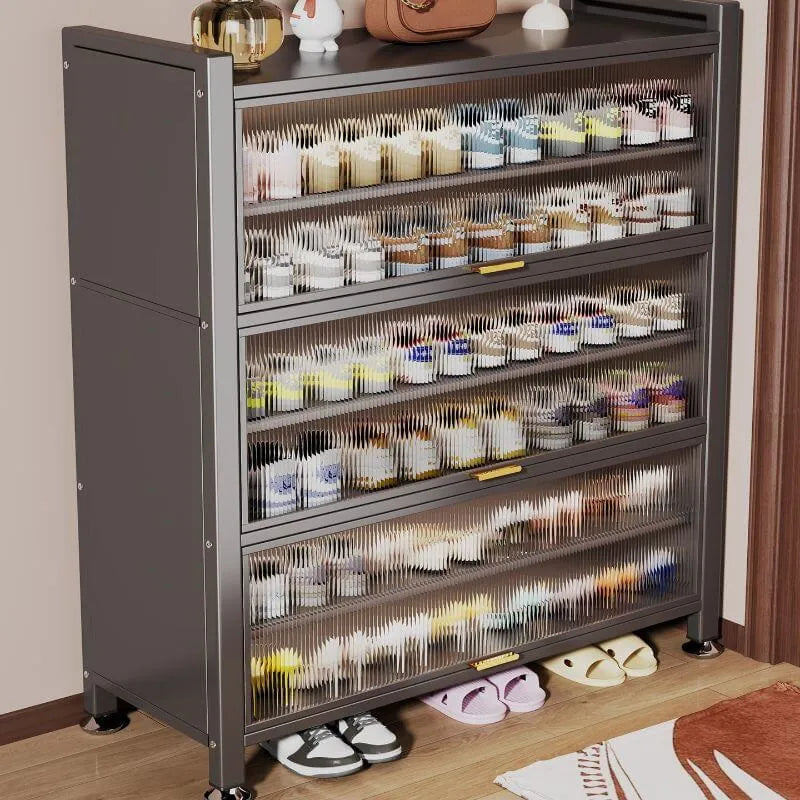 Modern Black Metal Shoe Storage Cabinet with Translucent Doors