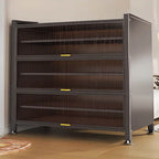 Modern Black Metal Shoe Storage Cabinet with Translucent Doors