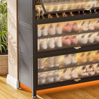 Modern Black Metal Shoe Storage Cabinet with Translucent Doors