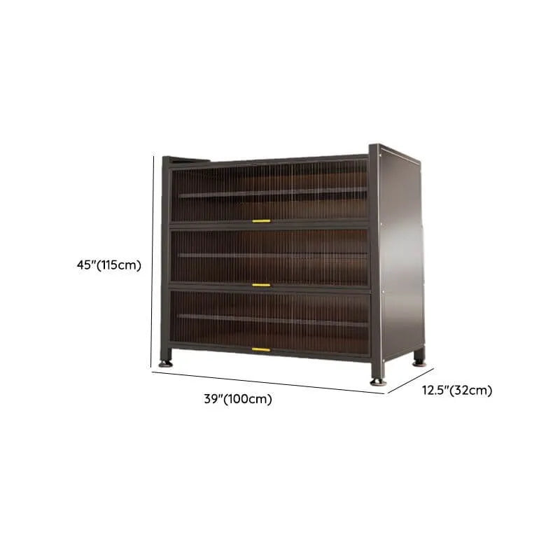 Modern Black Metal Shoe Storage Cabinet with Translucent Doors Dimensions