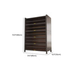 Modern Black Metal Shoe Storage Cabinet with Translucent Doors Dimensions
