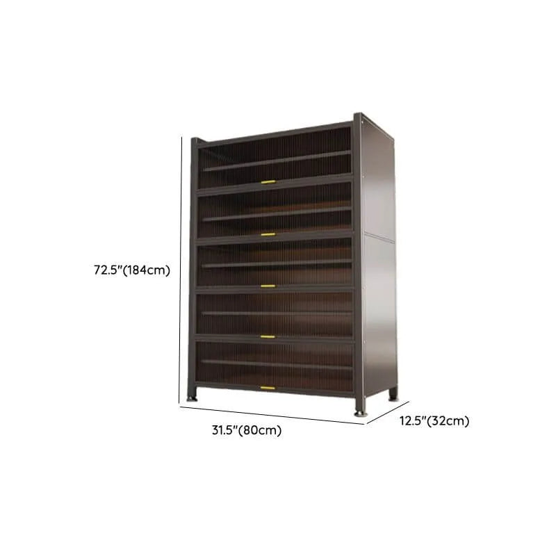 Modern Black Metal Shoe Storage Cabinet with Translucent Doors Dimensions