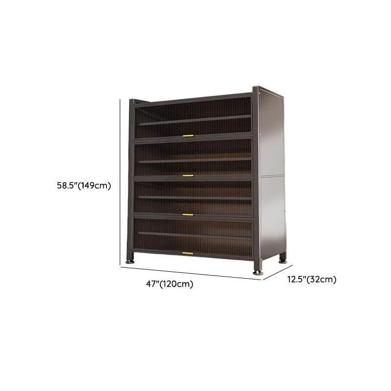 Modern Black Metal Shoe Storage Cabinet with Translucent Doors Dimensions