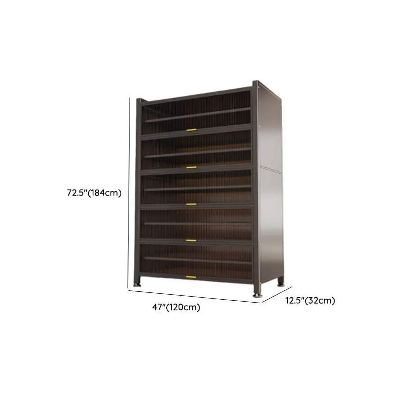 Modern Black Metal Shoe Storage Cabinet with Translucent Doors Dimensions