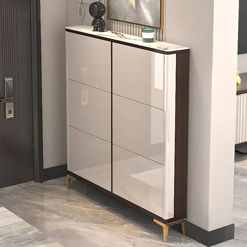 Modern Champagne & Grey Wall-Mounted Shoe Storage Cabinet