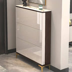 Modern Champagne & Grey Wall-Mounted Shoe Storage Cabinet
