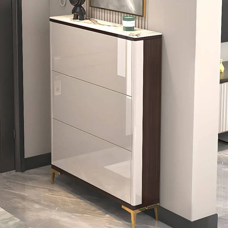 Modern Champagne & Grey Wall-Mounted Shoe Storage Cabinet