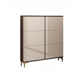 Modern Champagne & Grey Wall-Mounted Shoe Storage Cabinet