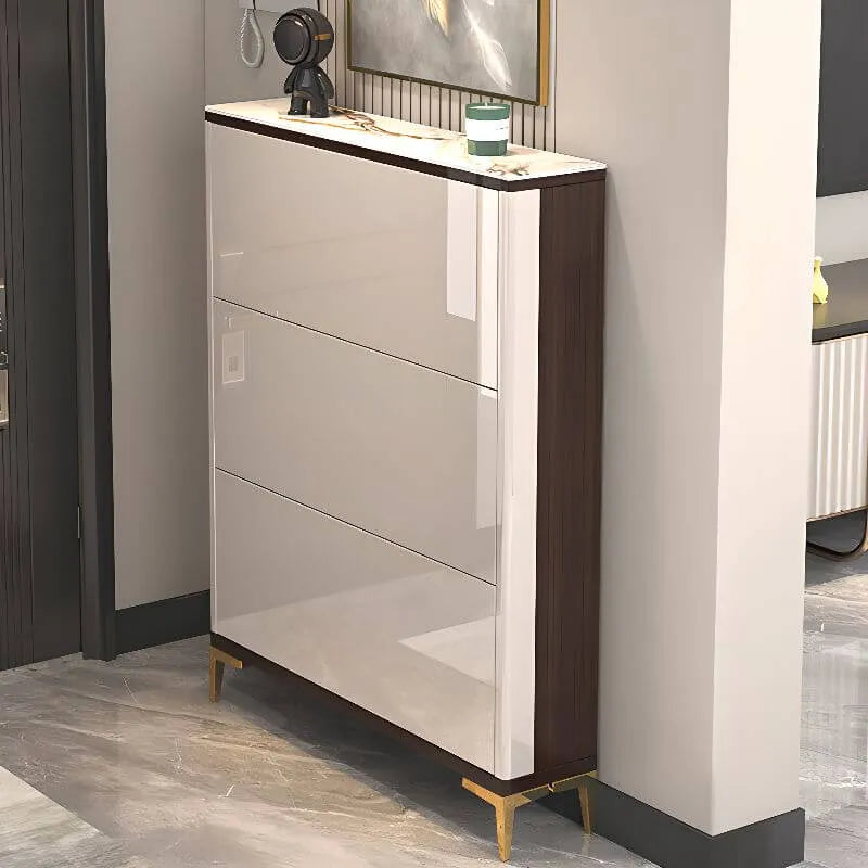 Modern Champagne & Grey Wall-Mounted Shoe Storage Cabinet