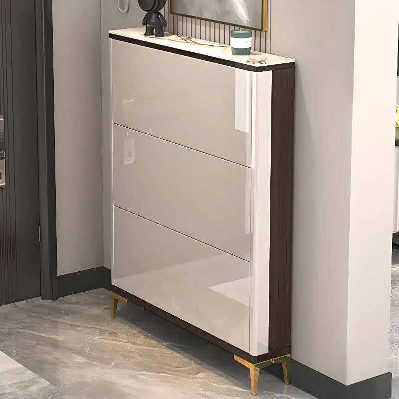 Modern Champagne & Grey Wall-Mounted Shoe Storage Cabinet