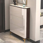 Modern Champagne & Grey Wall-Mounted Shoe Storage Cabinet