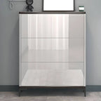 Modern Champagne & Grey Wall-Mounted Shoe Storage Cabinet