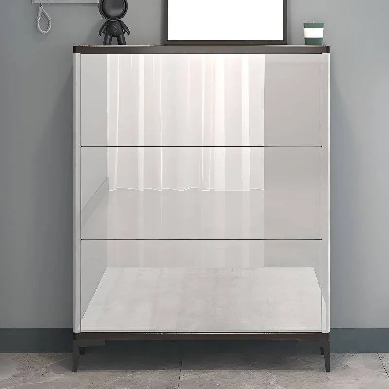 Modern Champagne & Grey Wall-Mounted Shoe Storage Cabinet