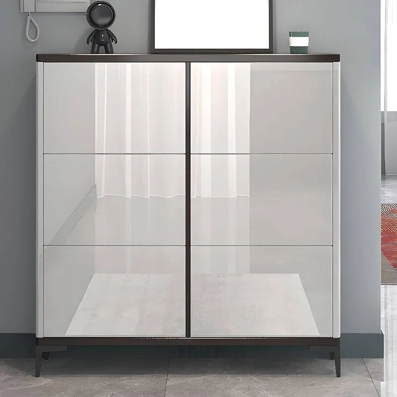 Modern Champagne & Grey Wall-Mounted Shoe Storage Cabinet