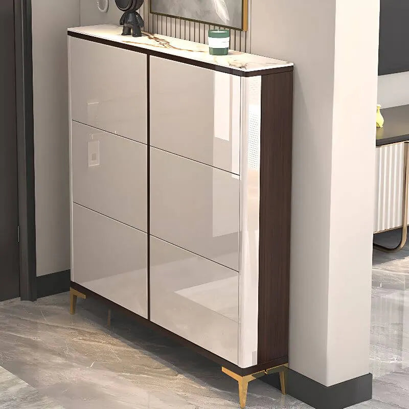 Modern Champagne & Grey Wall-Mounted Shoe Storage Cabinet