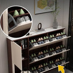 Modern Champagne & Grey Wall-Mounted Shoe Storage Cabinet