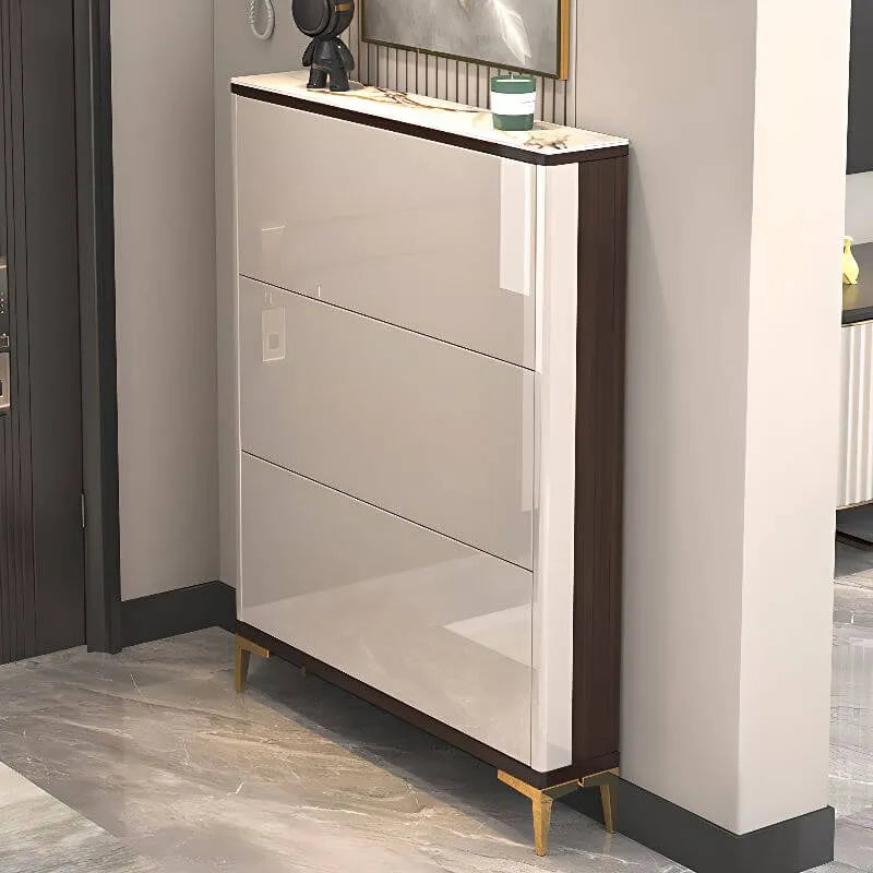 Modern Champagne & Grey Wall-Mounted Shoe Storage Cabinet