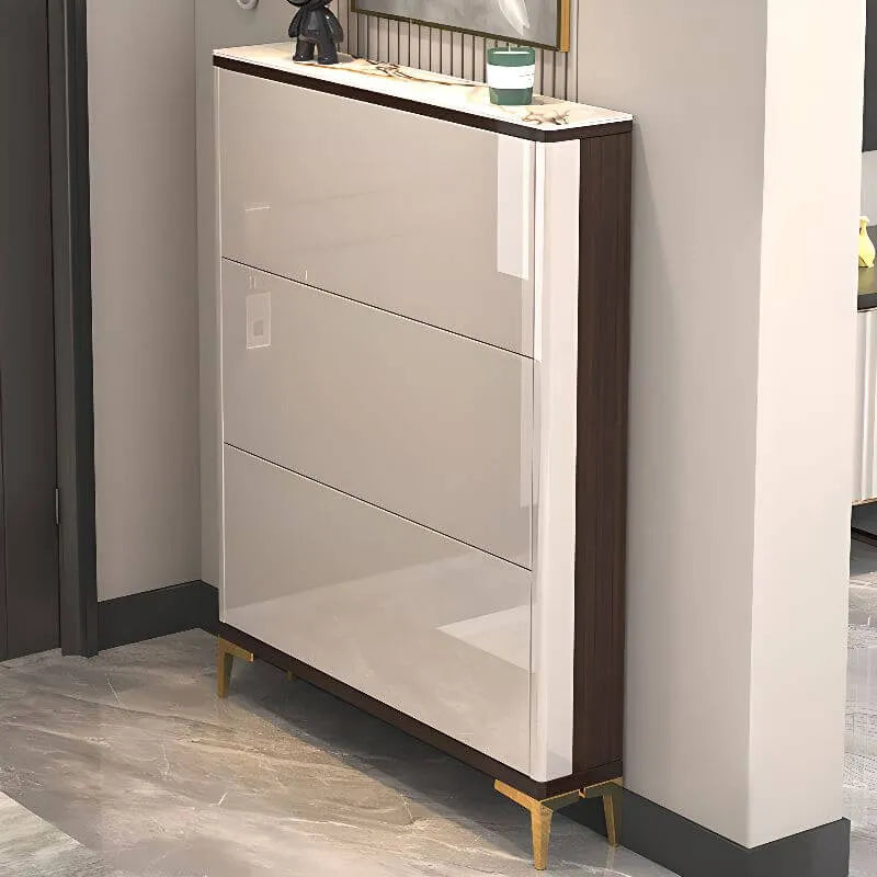 Modern Champagne & Grey Wall-Mounted Shoe Storage Cabinet