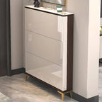 Modern Champagne & Grey Wall-Mounted Shoe Storage Cabinet