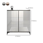 Modern Champagne & Grey Wall-Mounted Shoe Storage Cabinet Dimensions