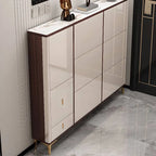 Modern Champagne & Grey Wall-Mounted Shoe Storage Cabinet Main Product Image