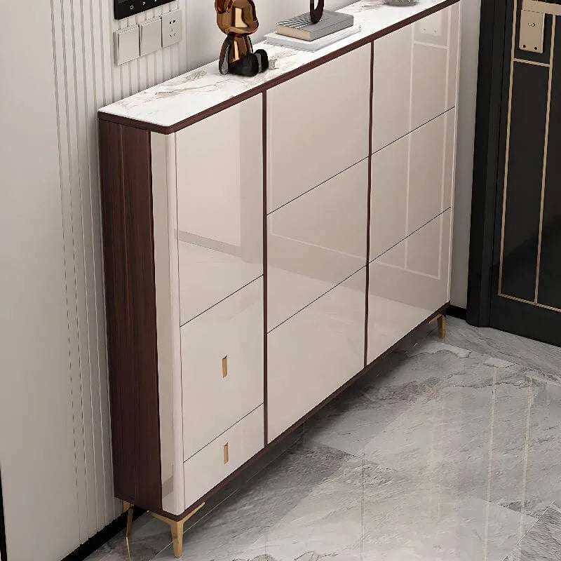 Modern Champagne & Grey Wall-Mounted Shoe Storage Cabinet Main Product Image Main image