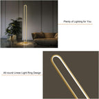 Modern Gold Floor Lamp with Unique Oval Light Circle Design