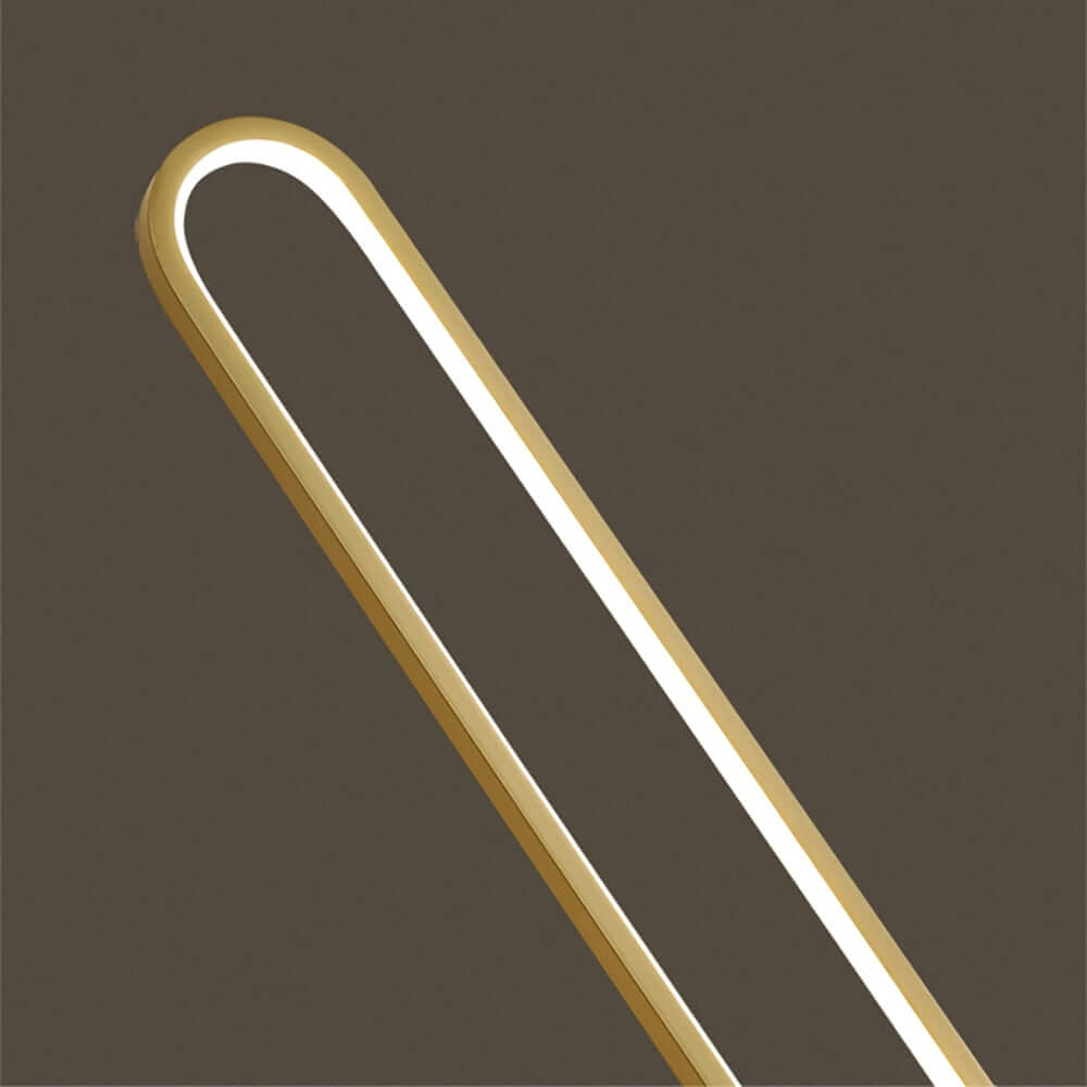 Modern Gold Floor Lamp with Unique Oval Light Circle Design
