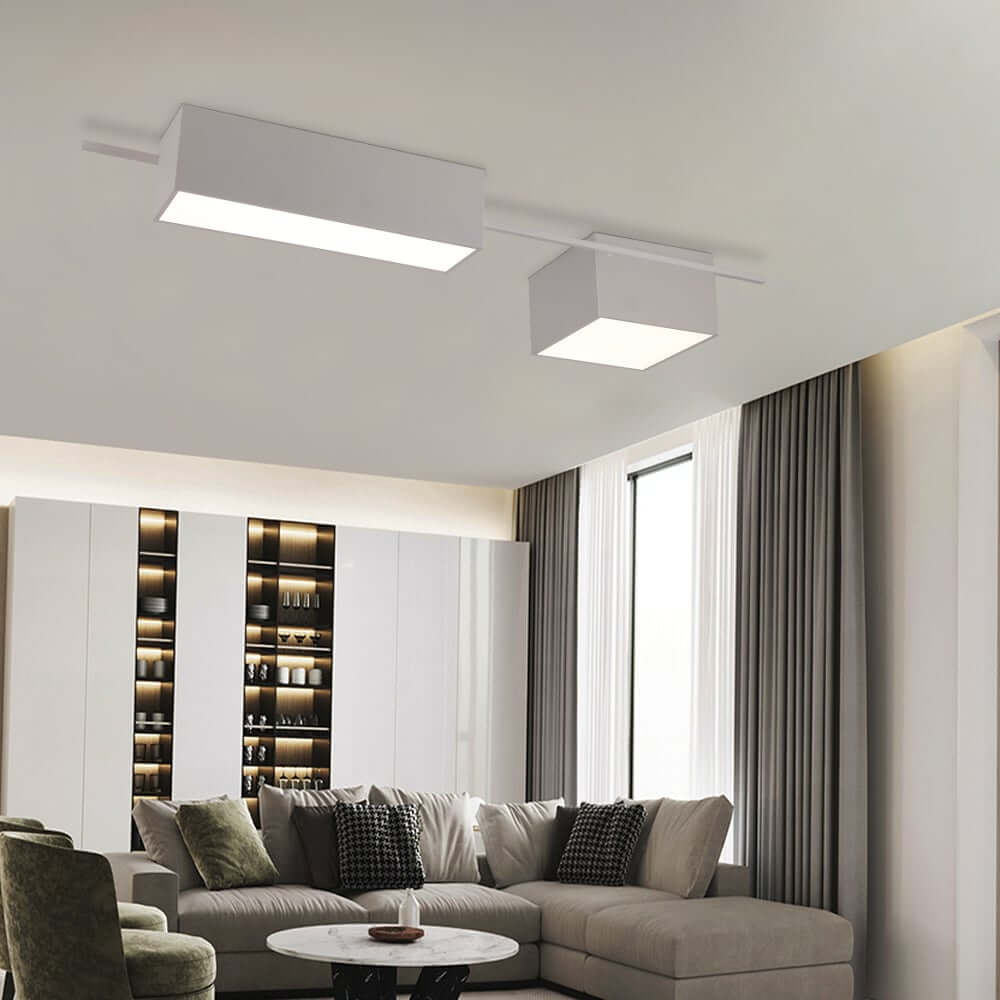 Modern Iron and Acrylic Flush Mount Ceiling Light with 2-Light Design Main Product Image Main image