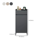 Modern Manufactured Wood Shoe Storage Cabinet with Adjustable Shelves Dimensions