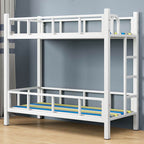 Modern Metal Bunk Bed in Multiple Colors for Kids' Bedrooms