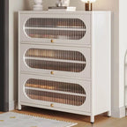Modern Metal Shoe Storage Cabinet with Acrylic Window Doors