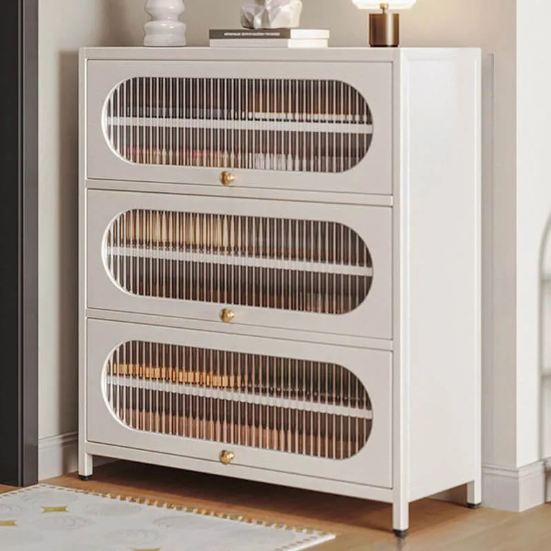 Modern Metal Shoe Storage Cabinet with Acrylic Window Doors